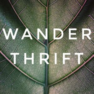 Meet your Posher, WanderThrift